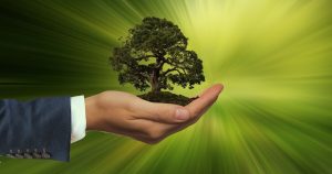 sustainability-3303398.jpg