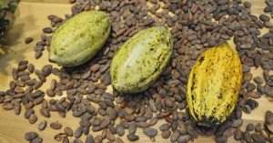 cocoa-beans-373813.jpg