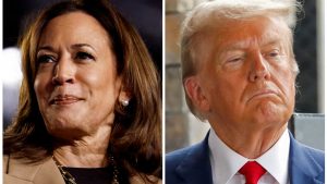 108057825-17308225462024-11-05t100427z_1292140728_rc2wdaa4ehwl_rtrmadp_0_usa-election-2024.jpeg